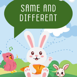 Same & Different Cognitive Activity Book