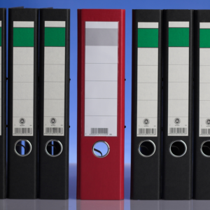 Expanding File Folder (13 Pockets)